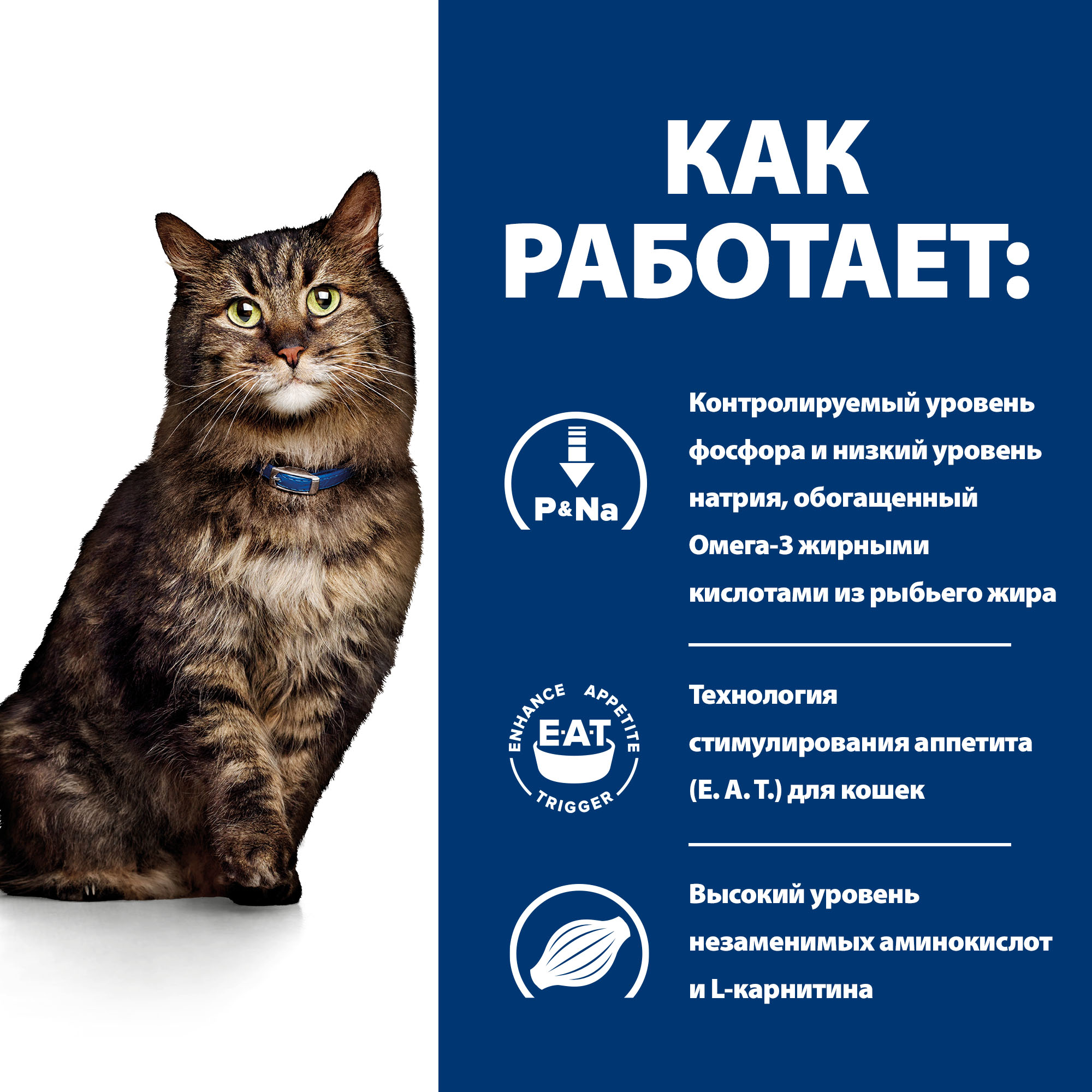 Корм для кошек Hills 1.5кг Prescription Diet k/d Early Stage при ранней стадии болезни почек - фото 4