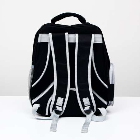 Рюкзак для переноски животных Пижон «Котик» прозрачный чёрный