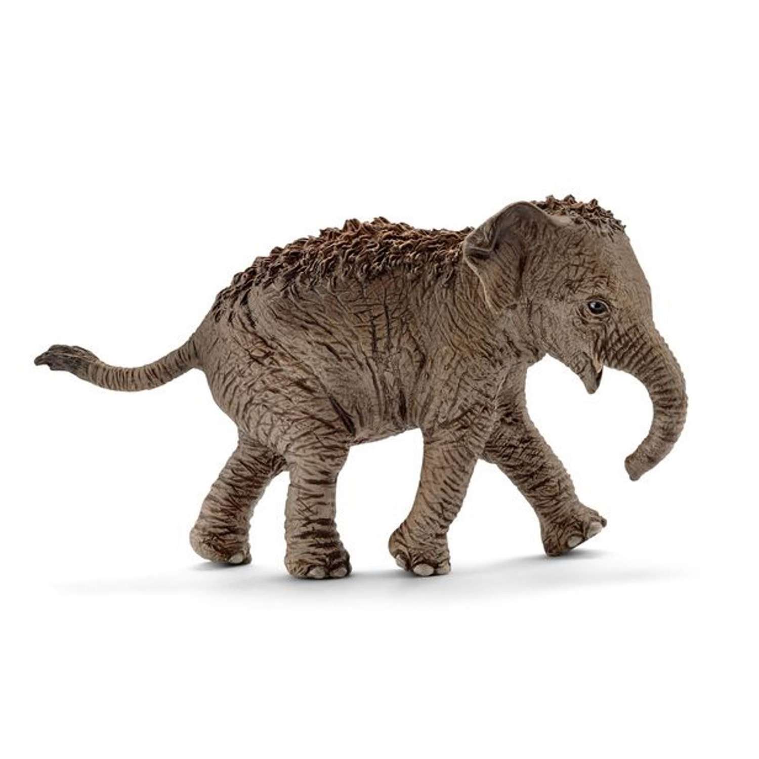 Фигурка SCHLEICH Азиатский слон детеныш 14755 - фото 1