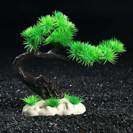 Растение для аквариума Пижон Аква 14 см