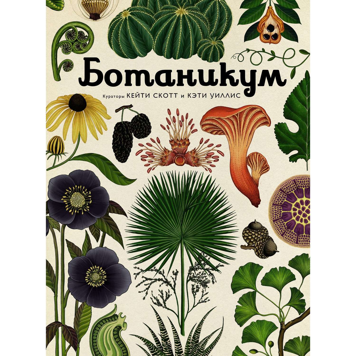 Книга МАХАОН Ботаникум. Энциклопедии - фото 1