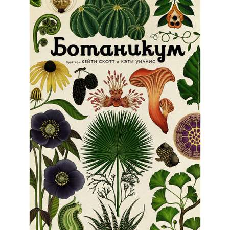 Книга МАХАОН Ботаникум. Энциклопедии