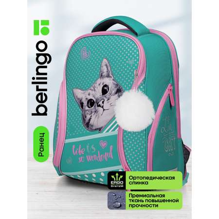 Ранец BERLINGO Nova Curious cat 37*28*18см