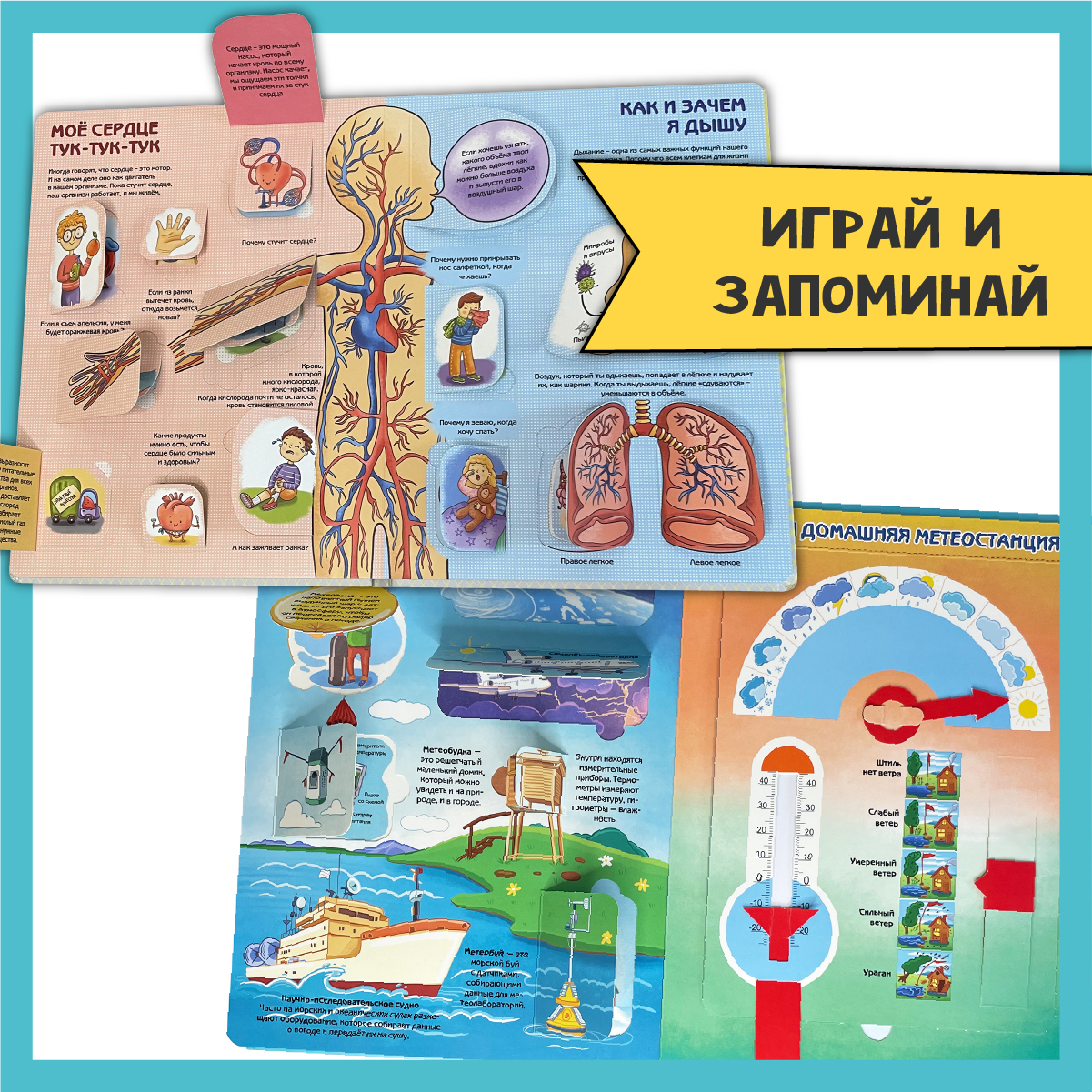 Энциклопедии для детей BimBiMon с окошками про тело человека и природу Виммельбух - фото 6