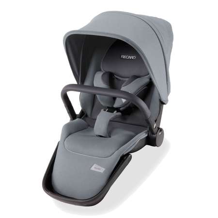 Коляска 2 в 1 Recaro Celona шасси Silver Prime Silent Grey