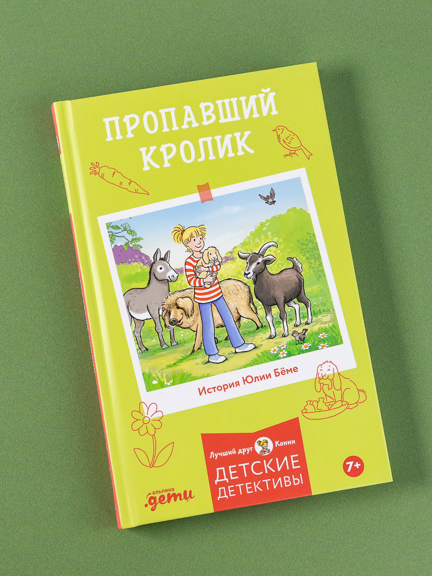 Книга Альпина. Дети Пропавший кролик