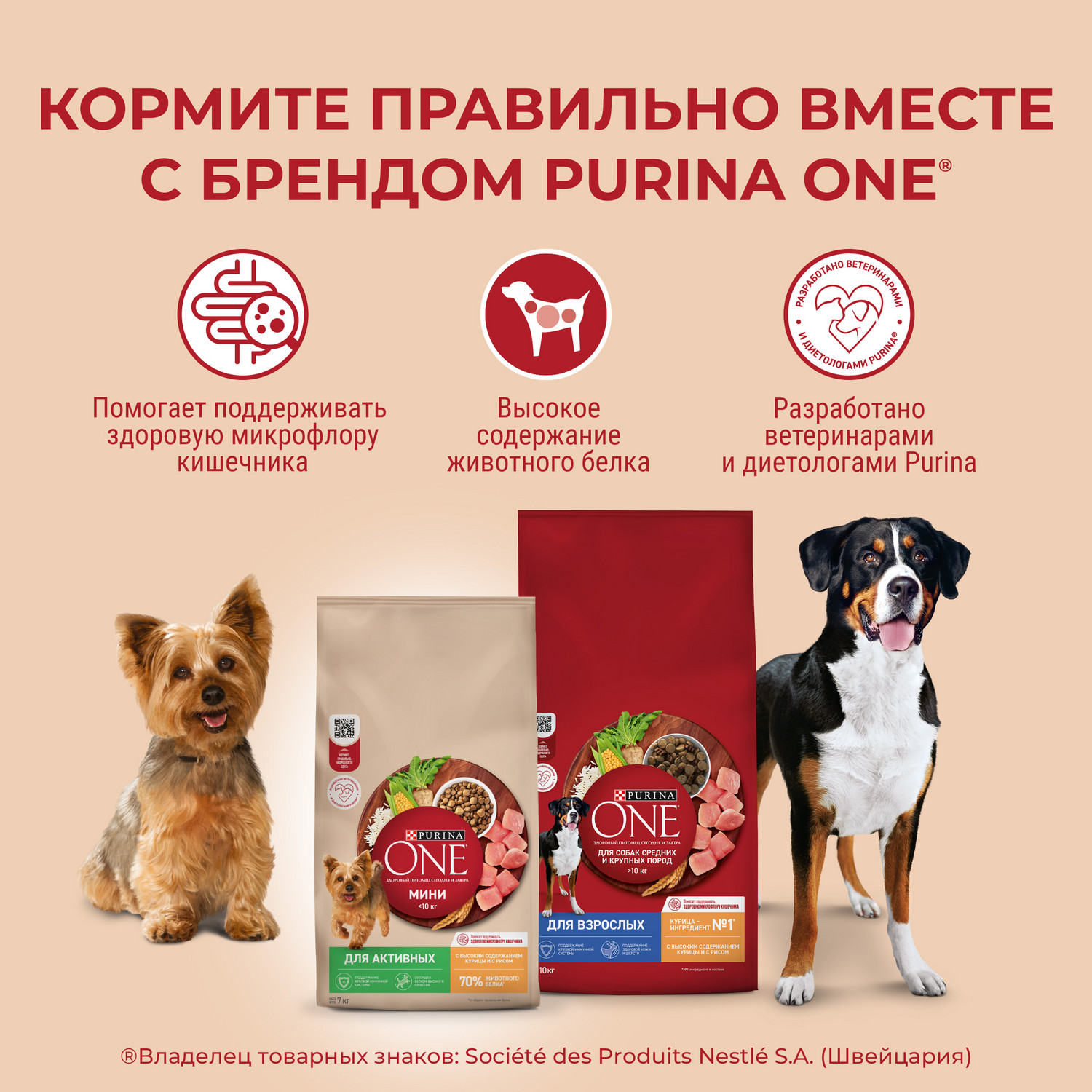 Сухой корм для собак Purina One 1.8 кг говядина (для домашних, полнорационный) - фото 3