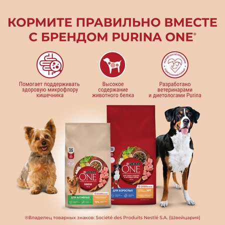 Корм для собак Purina One средних и крупных пород говядина-рис 1.8кг