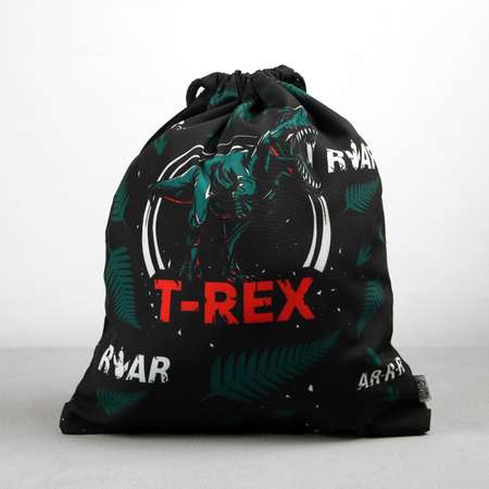 Сумка для обуви ArtFox «T-REX». 41х31 см