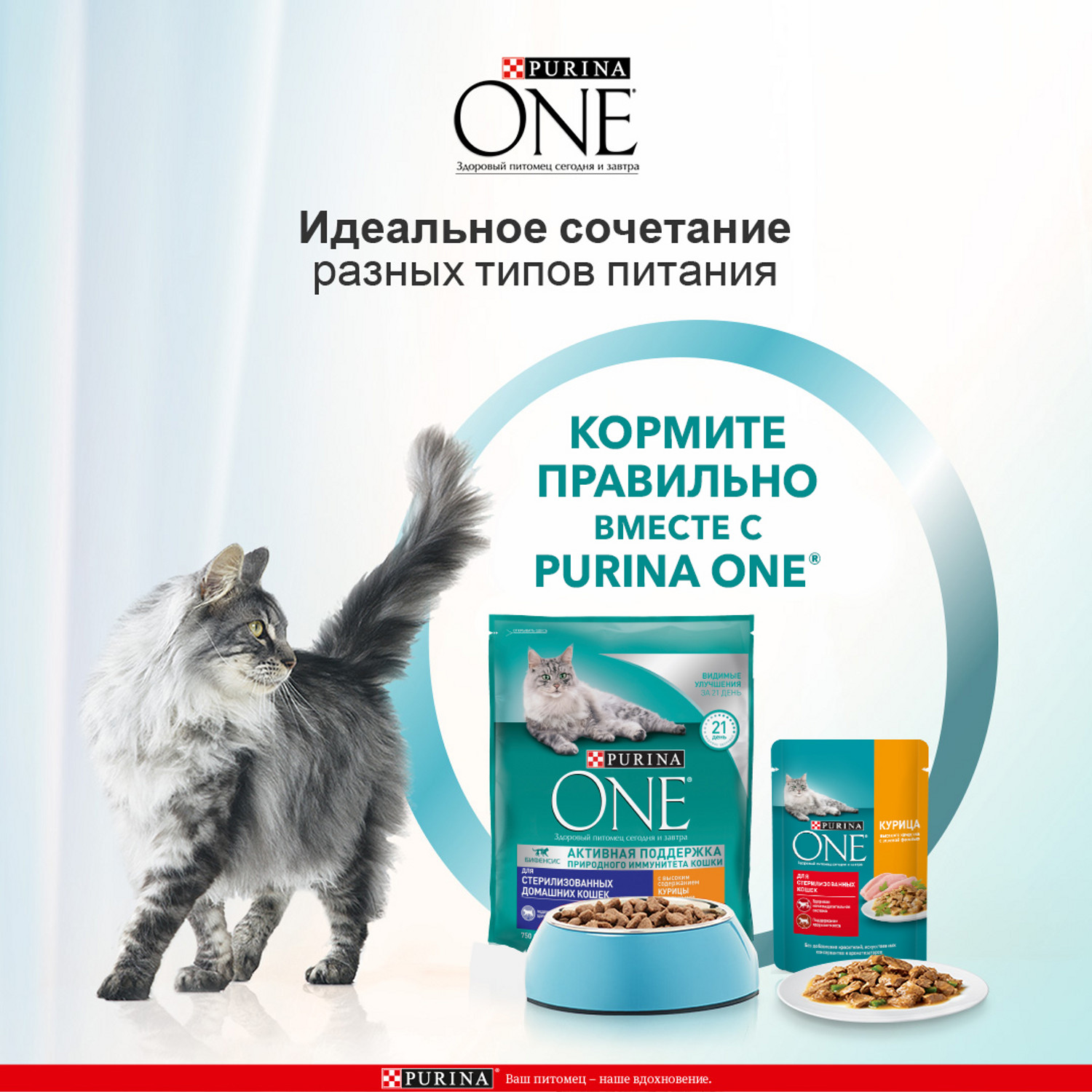 Сухой корм для кошек Purina One 0.75 кг курица (для стерилизованных и кастрированных, полнорационный) - фото 5