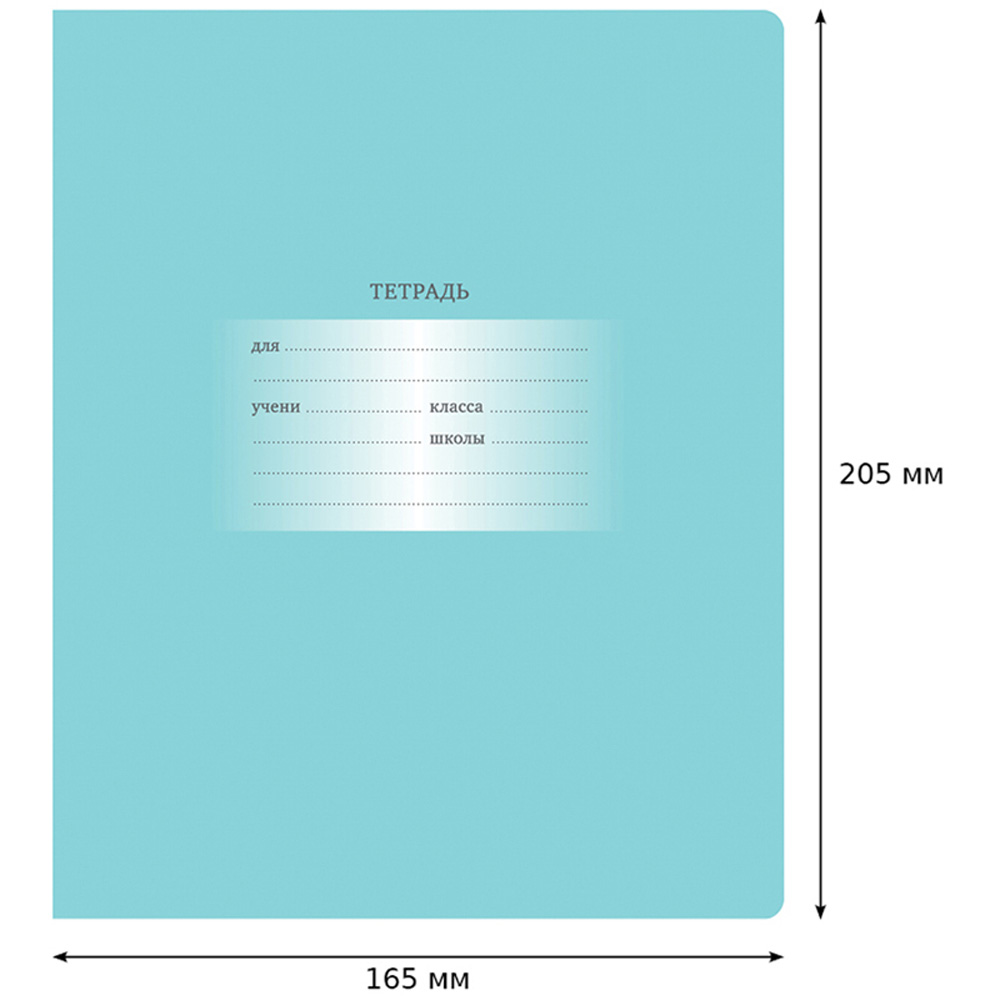 Тетрадь BG 12 л клетка Первоклассная светло-бирюзовая 16 шт - фото 3