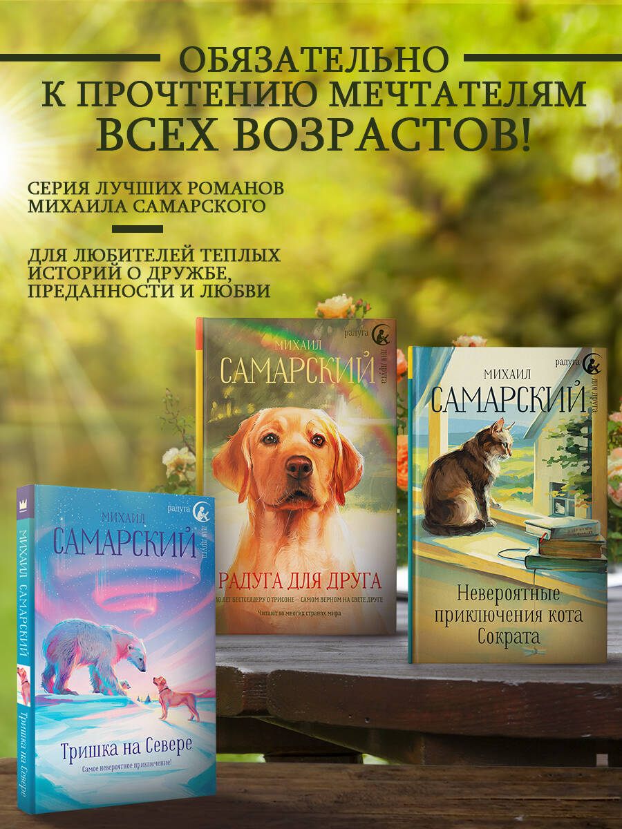 Книга АСТ Браво кот Сократ Театральные приключения - фото 4