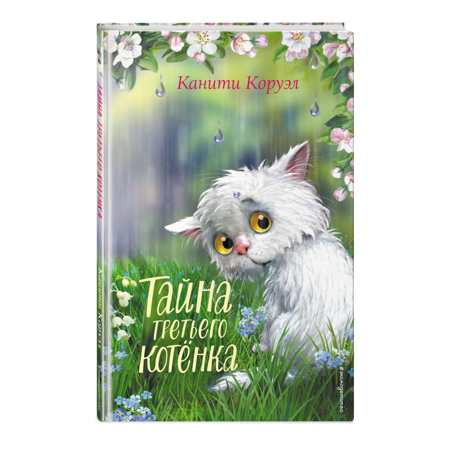 Книга Тайна третьего котёнка купить по цене 334 ₽ в интернет-магазине  Детский мир