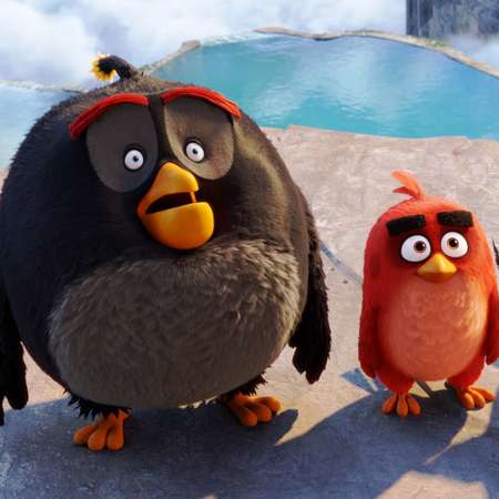 Мыльные пузыри 1TOY Angry Birds 50 мл