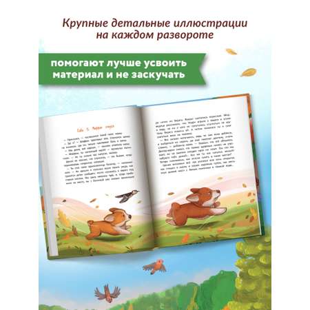 Книга Феникс Премьер Самый необычный в классе. Сказкотерапия