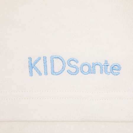 Худи KIDSANTE