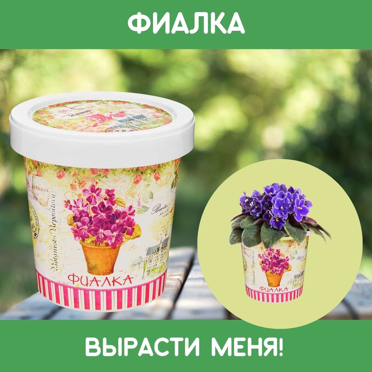 Набор для выращивания растений Rostok Visa Вырасти сам цветок Фиалка в подарочном горшке - фото 1