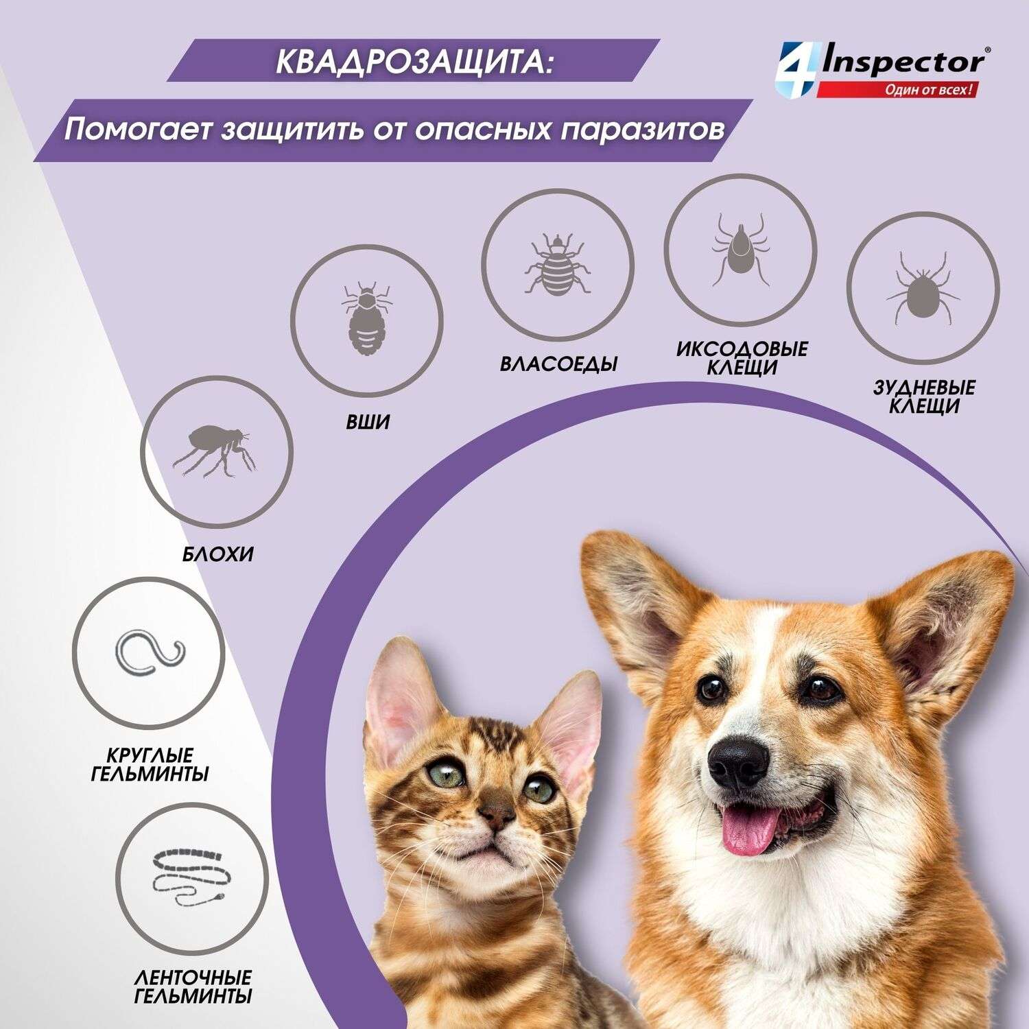Таблетки для кошек и собак Inspector Quadro Tabs 8-16кг - фото 4