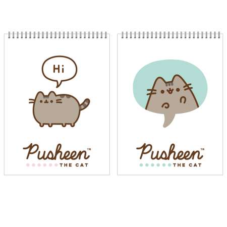 Блокнот Pusheen А7 40л в ассортименте PS2/2