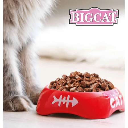 Корм влажный Зоогурман Big Cat с телятиной и кроликом 350гр х 12 шт