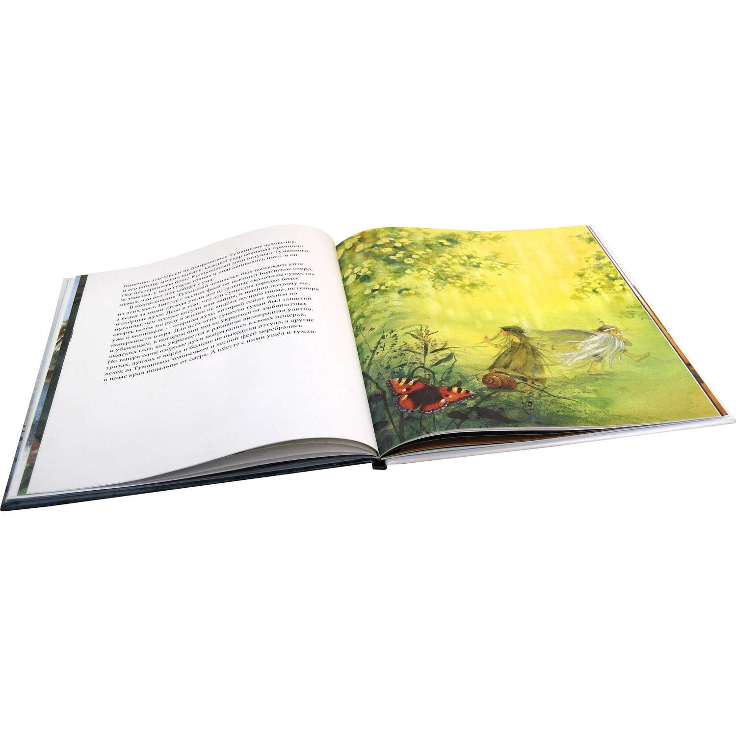 Книга Добрая книга Туманный человечек с Боденского озера. Иллюстрации Даниэлы Дрешер - фото 7
