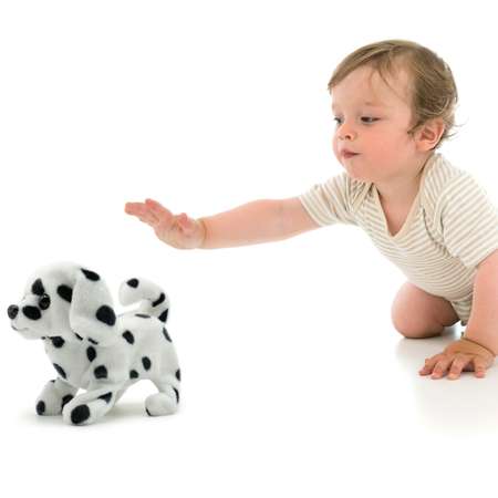 Интерактивная игрушка PUGS AT PLAY щенок «Спотти