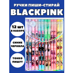 Ручка со стираемыми чернилами CANBI 12