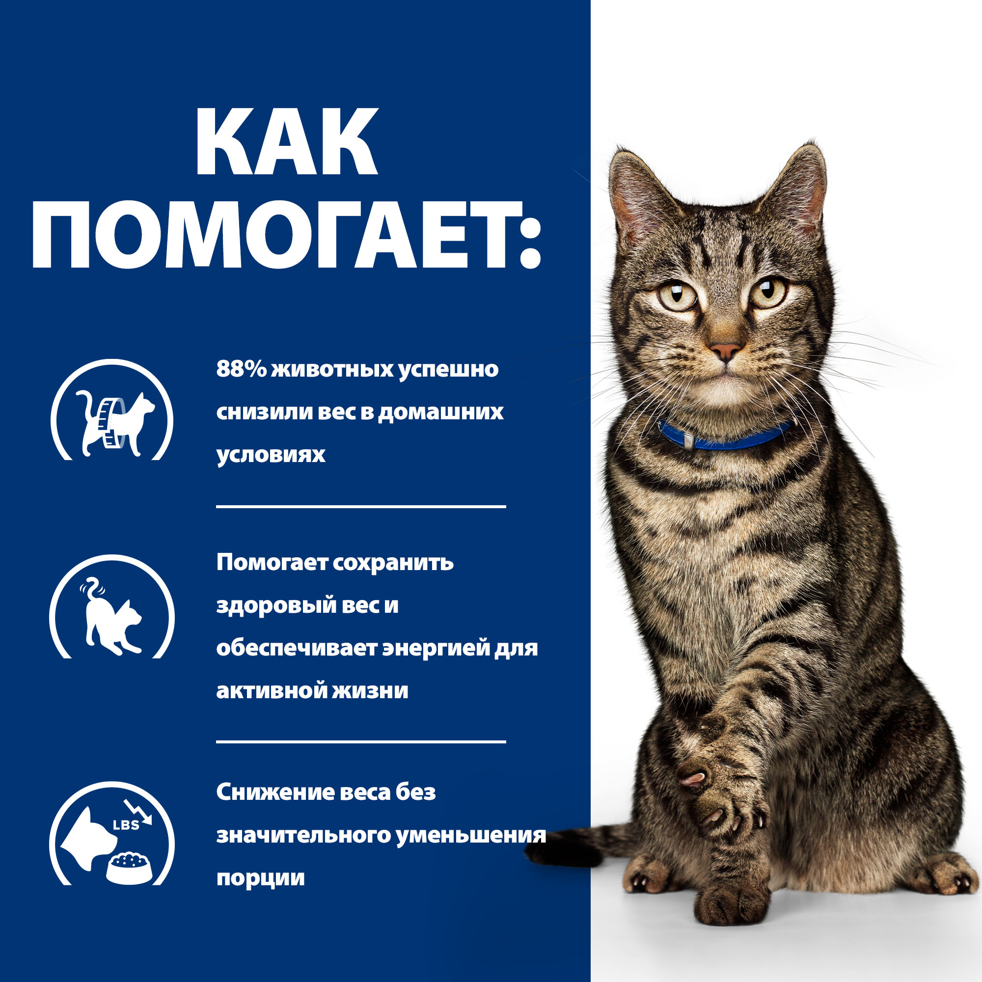 Корм для кошек Hills 8кг Prescription Diet Metabolic способствует снижению веса с курицей - фото 5