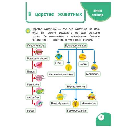 Книга Эксмо Моя первая книга открытий от 5лет