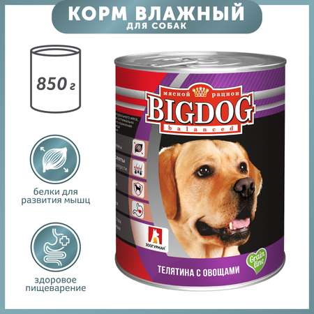 Корм для собак Зоогурман 850г Big Dog телятина с овощами ж/б