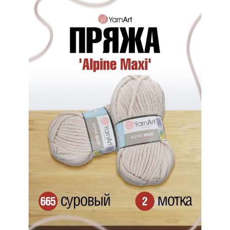 Пряжа YarnArt Alpine Maxi полушерстяная 250 г 105 м 665 суровый 2 мотка