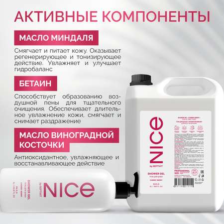 Гель для душа NICE by Septivit Cherry berry 5л