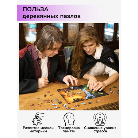 Пазл фигурный деревянный Active Puzzles Гарри Поттер. Три Волшебника