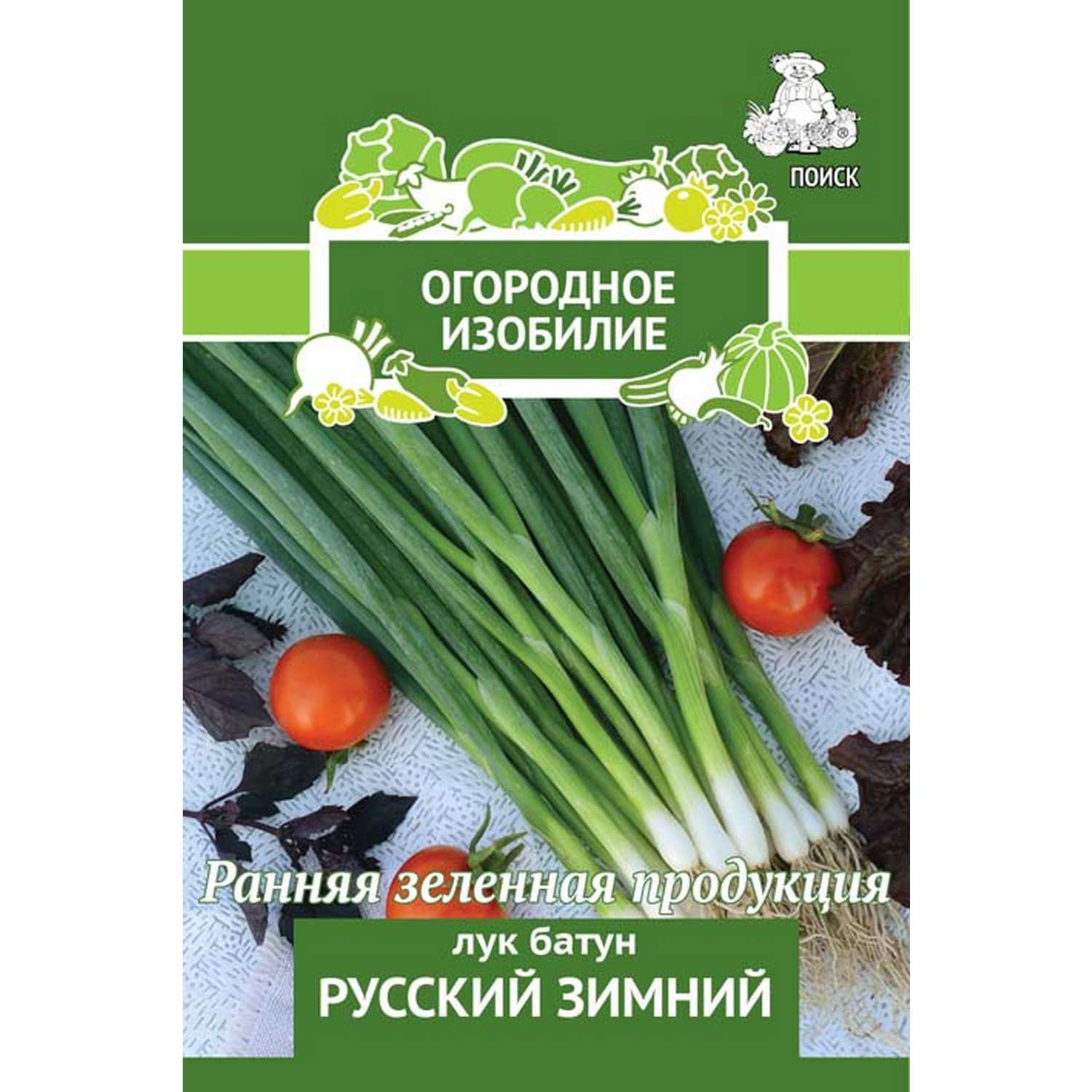 Лук батун (на зелень) Русский зимний (Огородное изобилие) 1г - фото 2