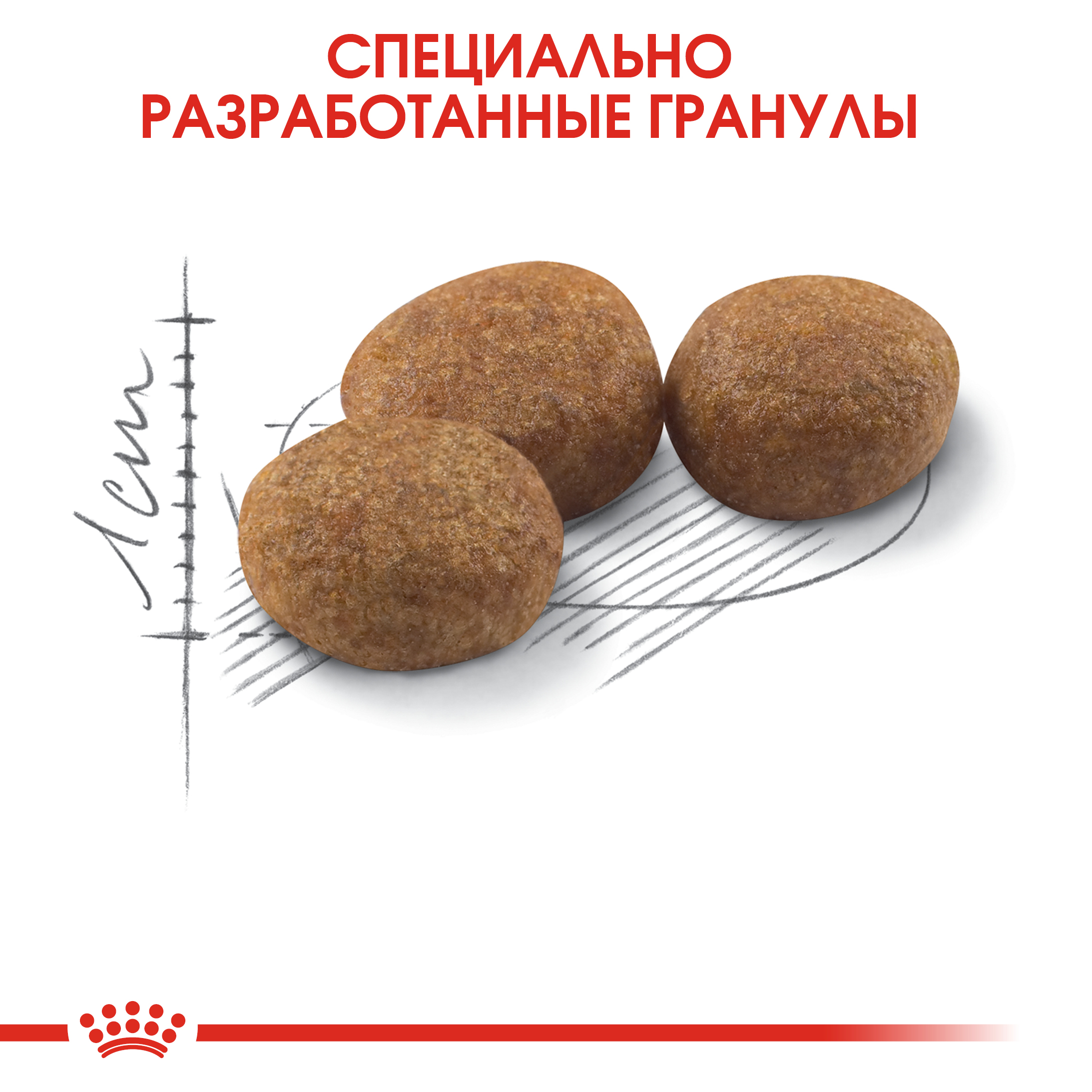 Сухой корм для кошек ROYAL CANIN 0.2 кг (для стерилизованных и кастрированных, полнорационный) - фото 7