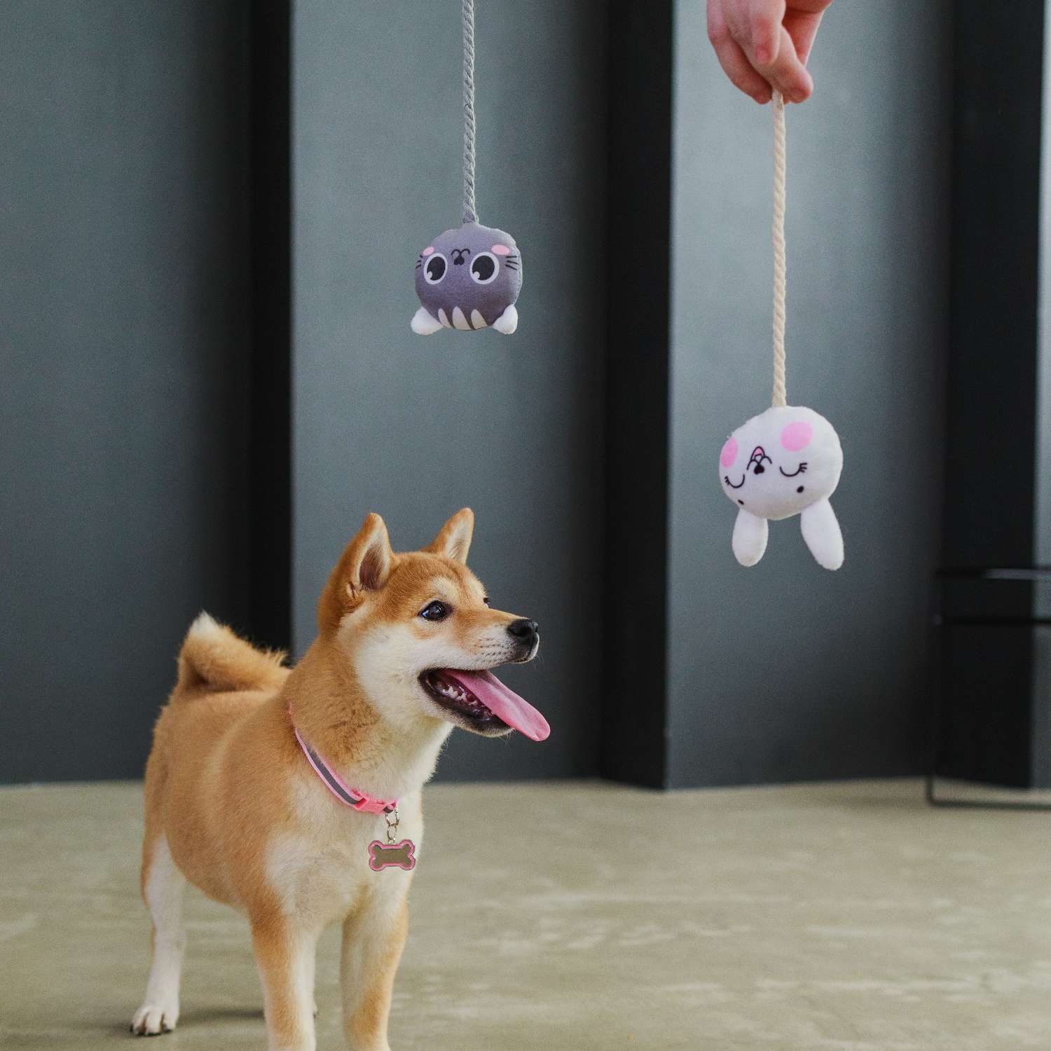 Игрушка для собак Пушистое счастье «Зайка» с канатом - фото 6