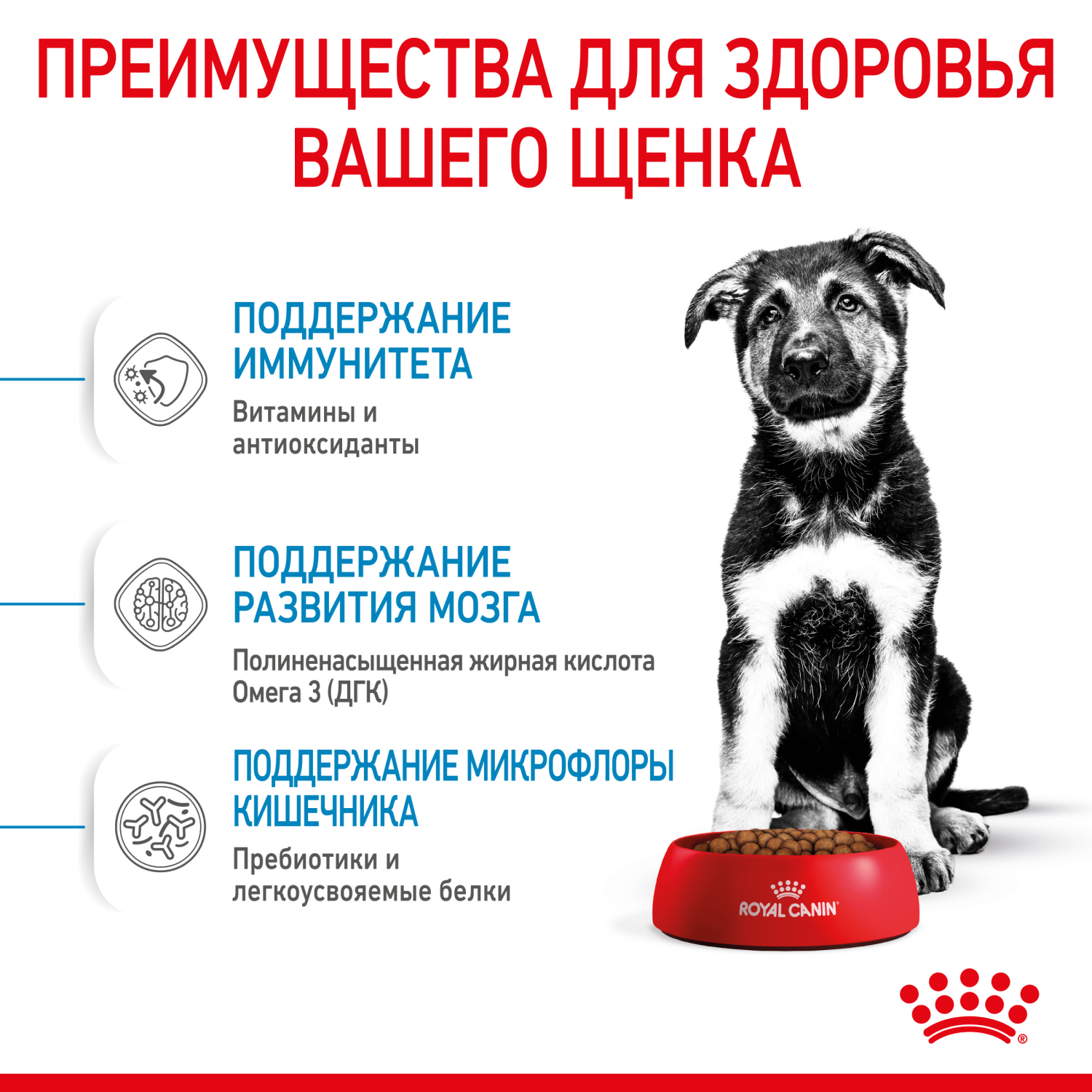 Корм для щенков ROYAL CANIN Puppy крупных пород 15кг - фото 5