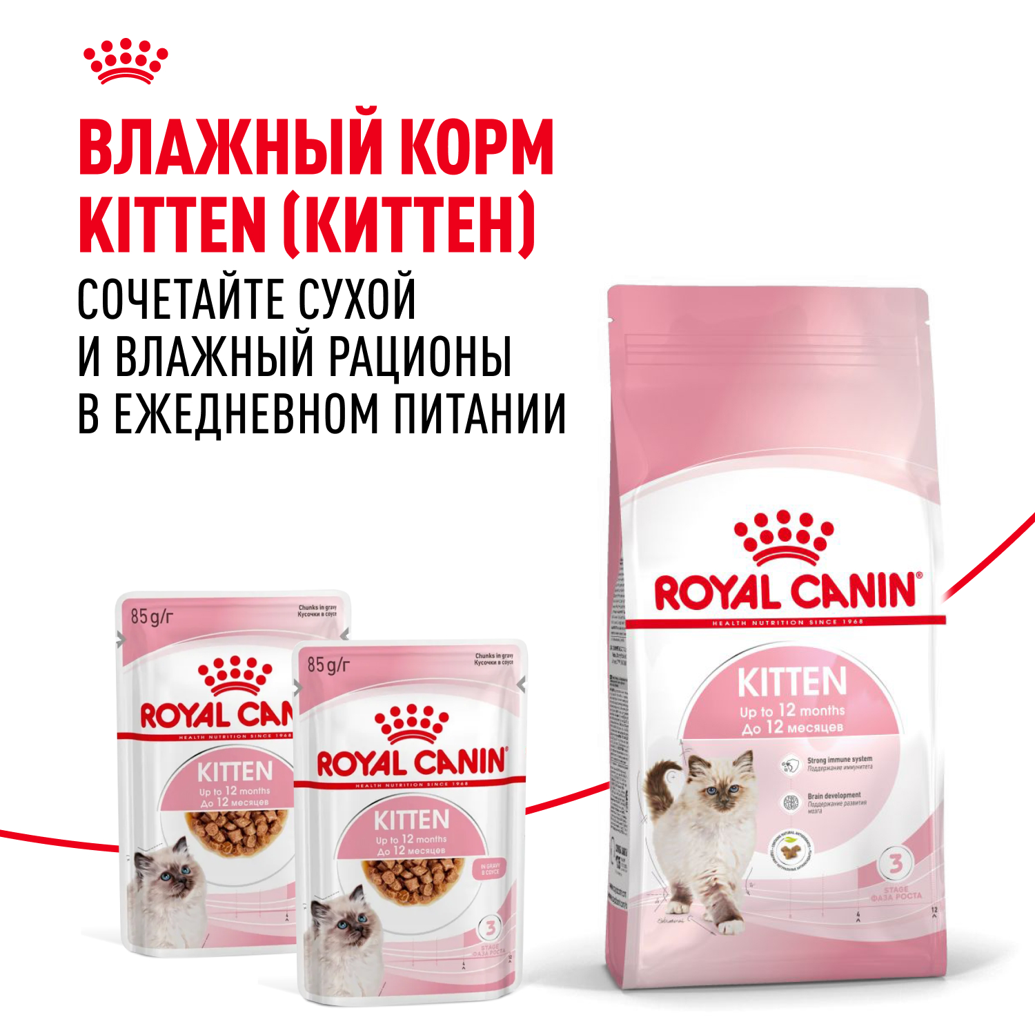 Корм сухой для котят ROYAL CANIN Kitten 2кг - фото 9