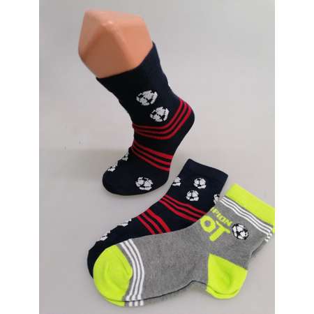 Носки 2 пары Master Socks