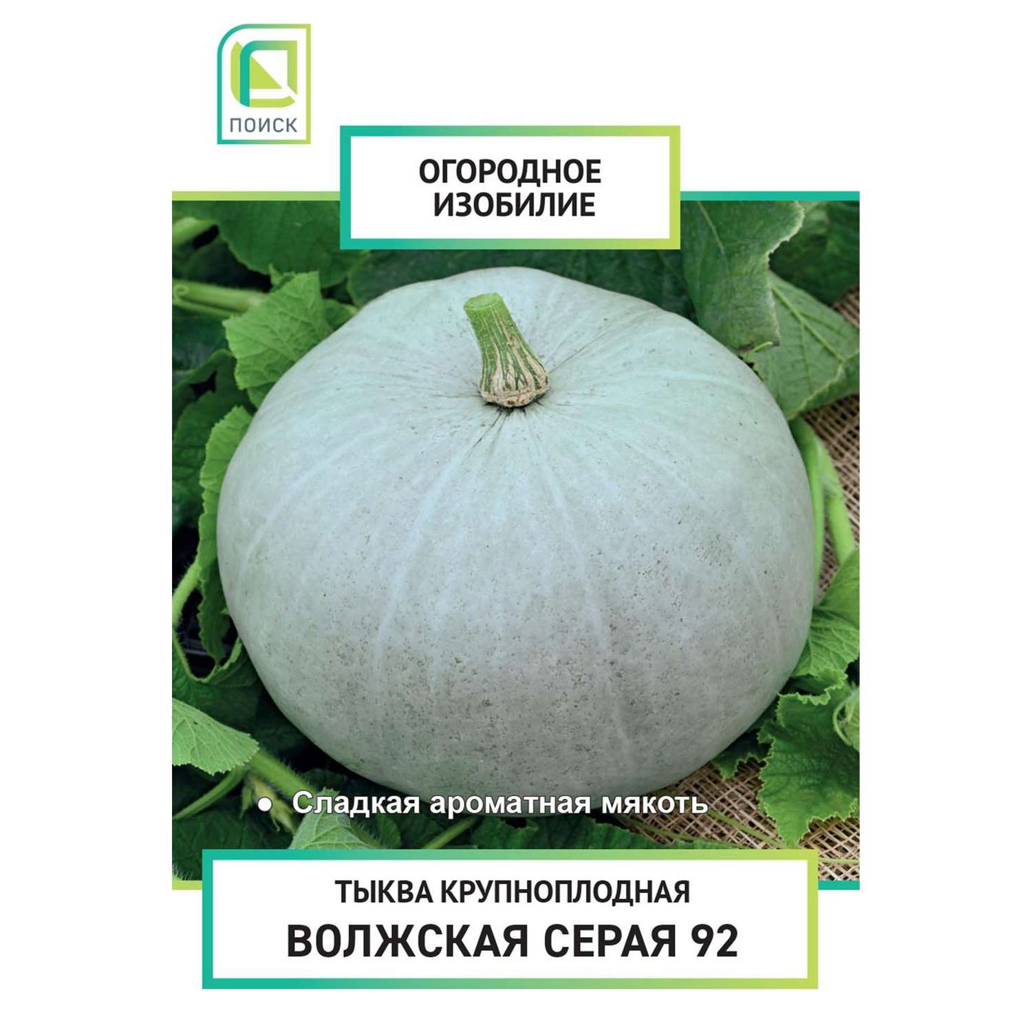 Тыква крупноплодная Волжская серая 92 (Огородное изобилие) 2г - фото 1