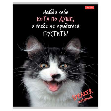 Общая тетрадь Hatber клетка 40 лист. в ассортименте