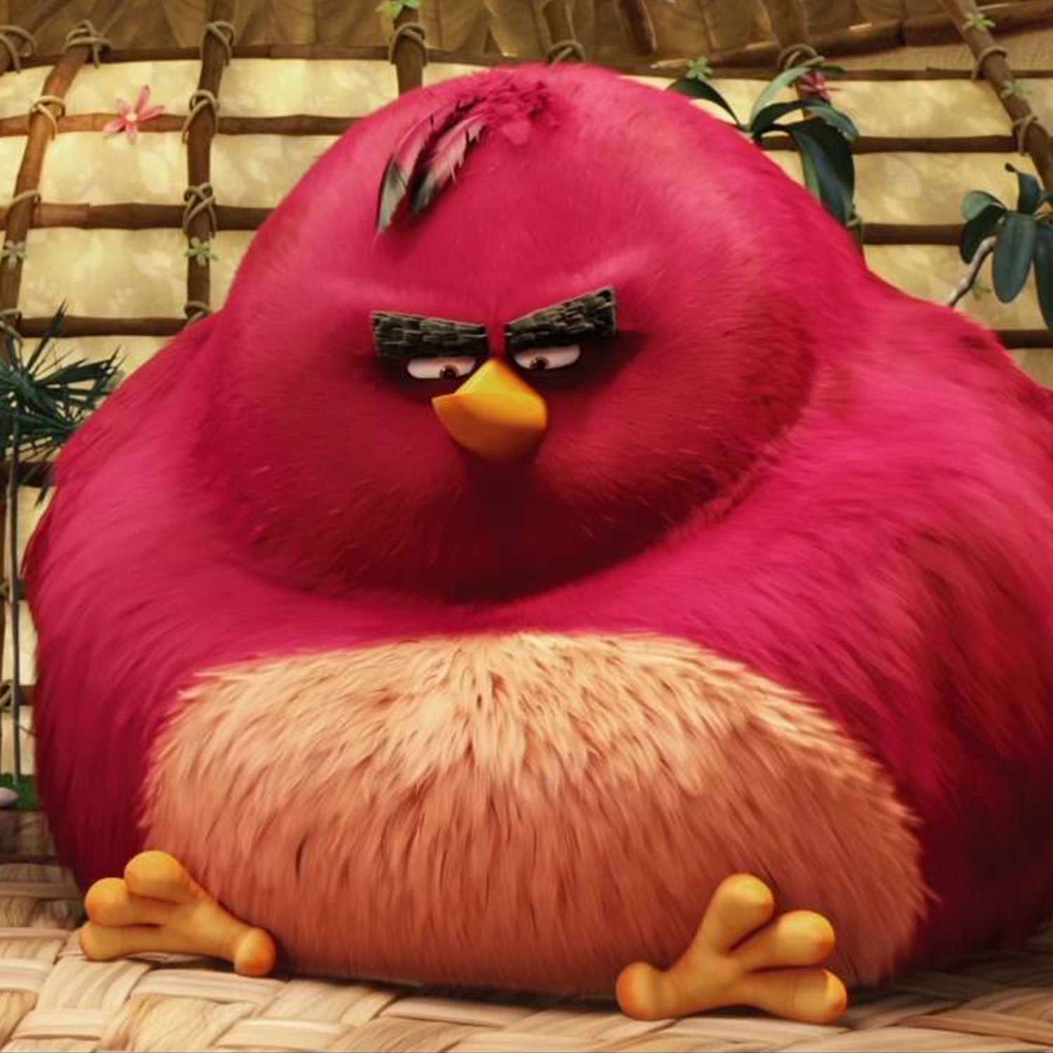 Гравюра Angry Birds эффект золота - фото 7
