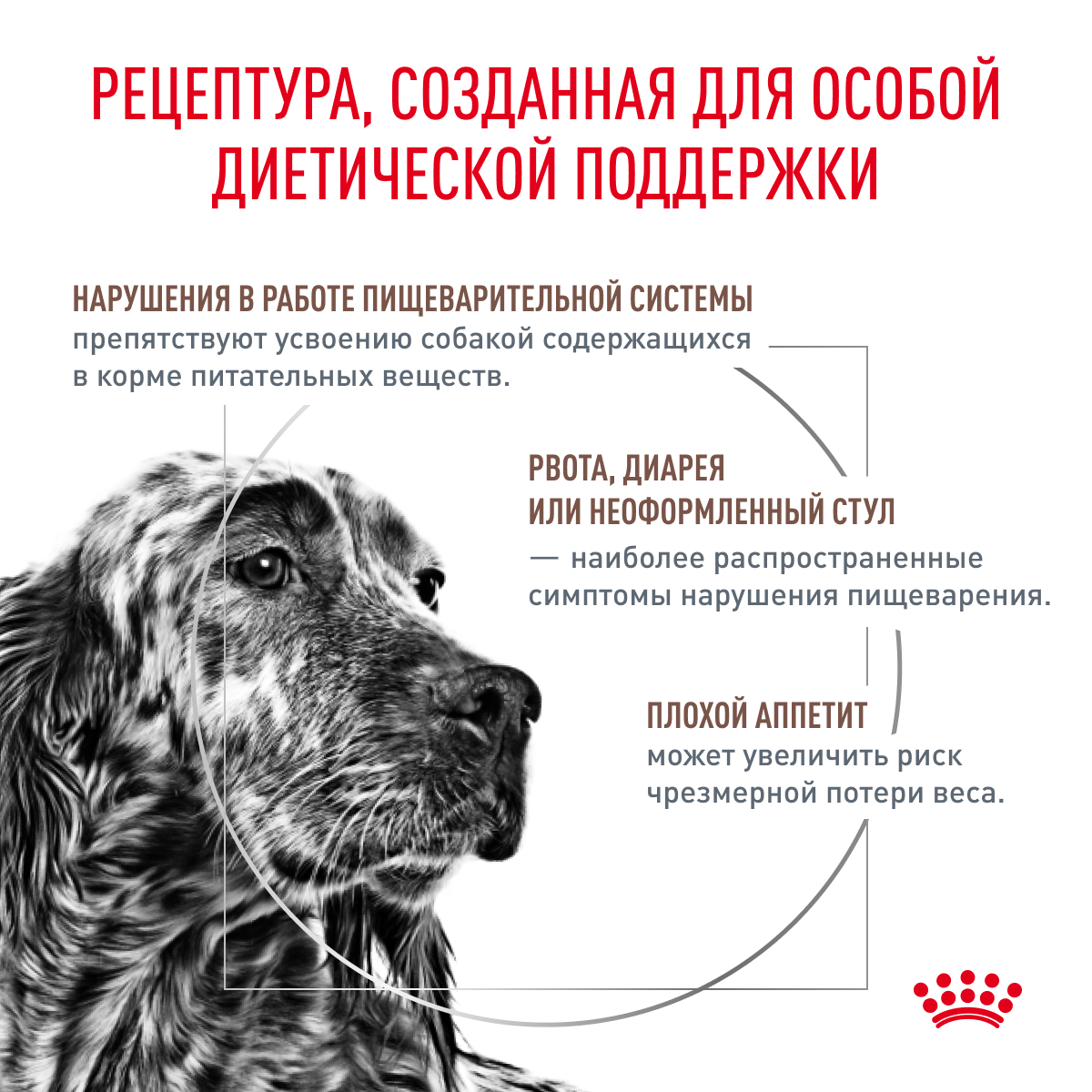 Корм для собак ROYAL CANIN Gastro Intestinal Gl25 при нарушении пищеварения 15кг - фото 3