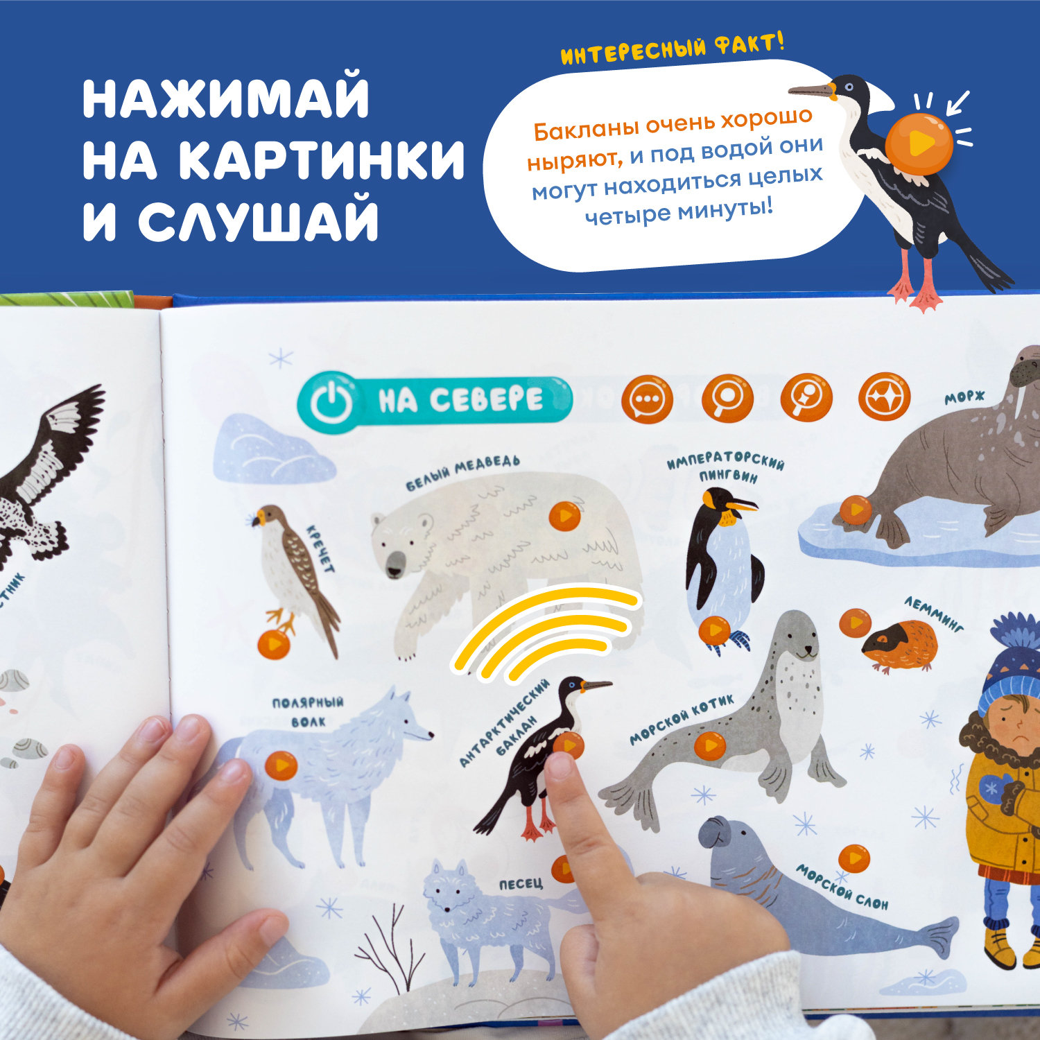 Книга интерактивная Abumba Fingerbook Какие бывают животные - фото 2