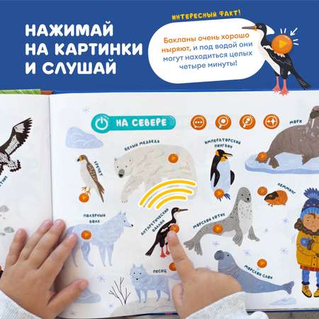 Книга интерактивная Abumba Fingerbook Какие бывают животные