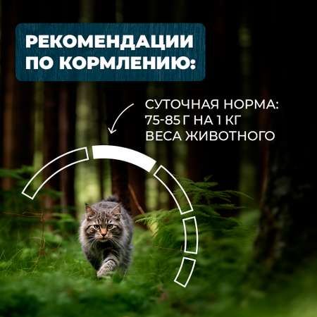 Корм для кошек и котов Родные корма стерилизованных и кастрированных По-елецки с индейкой кусочки в соусе 85г