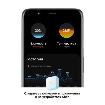 Умный датчик температуры SBER SBDV-00079