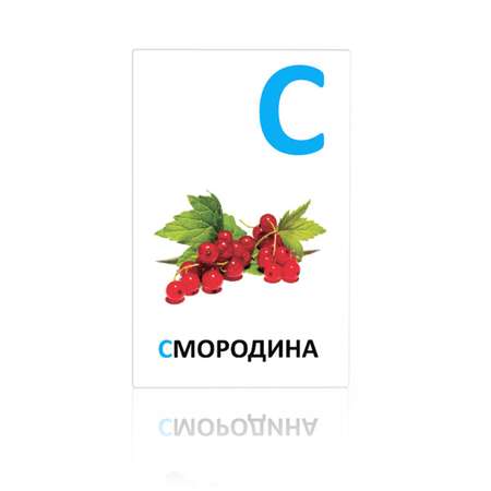 Развивающие карточки BertToys Алфавит в картинках русский Знайка с заданиями 0+ FD132