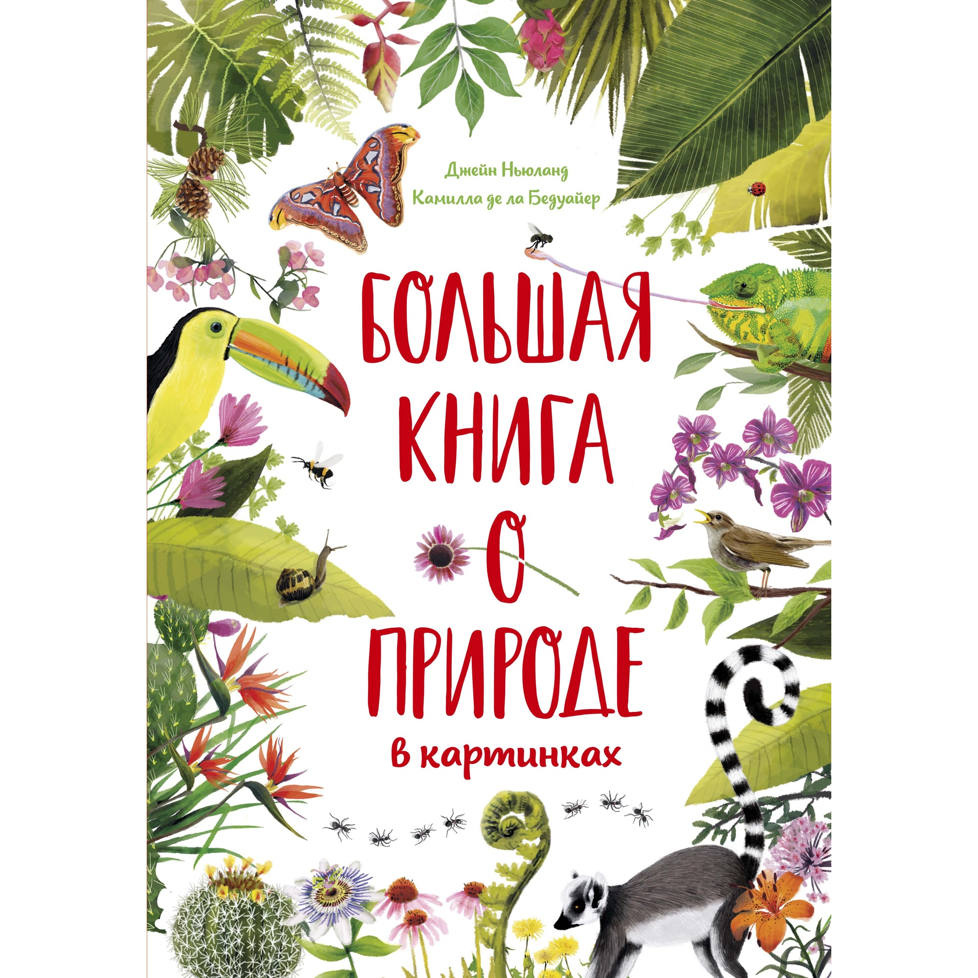 Книга МАХАОН Большая книга о природе в картинках Бедуайер К. де ла