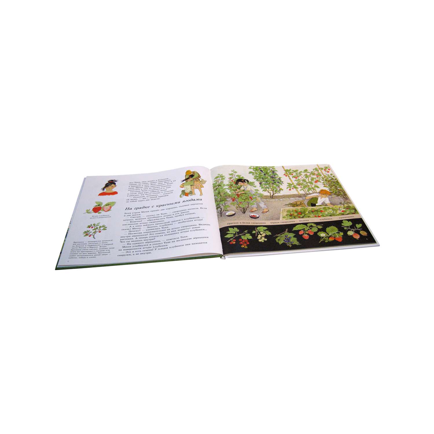 Комплект Добрая книга Как растут овощи? + Как растут ягоды + Наше дерево - фото 12